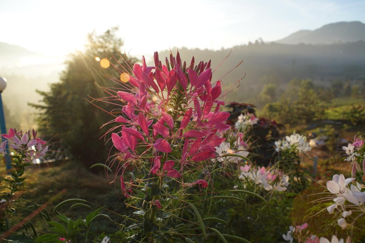 Khaokho Punsukphumok Otel Khao Kho Dış mekan fotoğraf