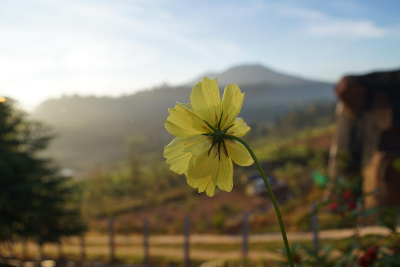 Khaokho Punsukphumok Otel Khao Kho Dış mekan fotoğraf